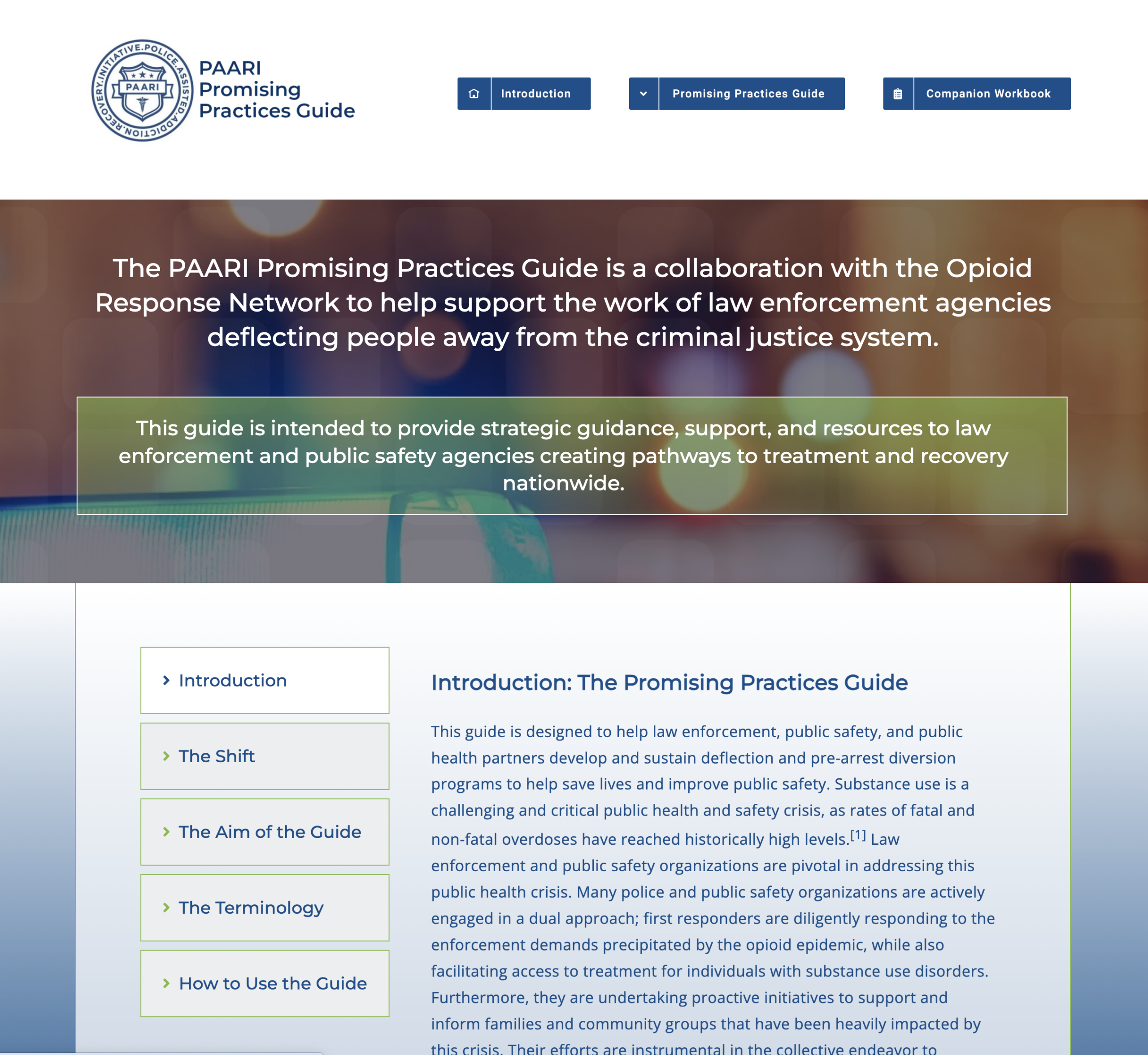 PAARI promising practices guide